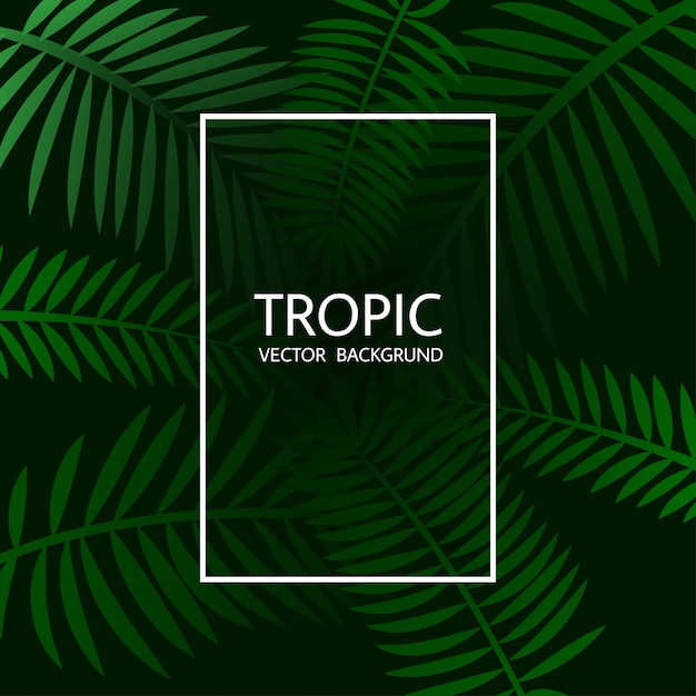 Diseño con exóticas hojas de palmeras tropicales y letras.