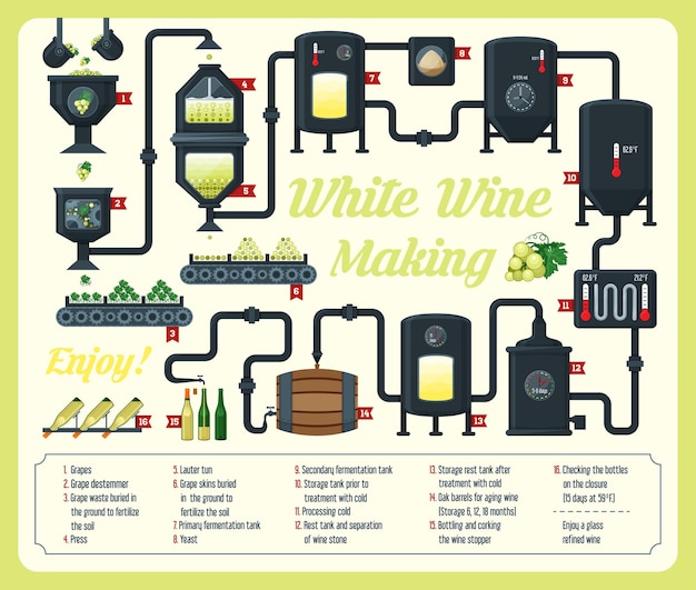 Diseño de explicación de infografía de vinificación.
