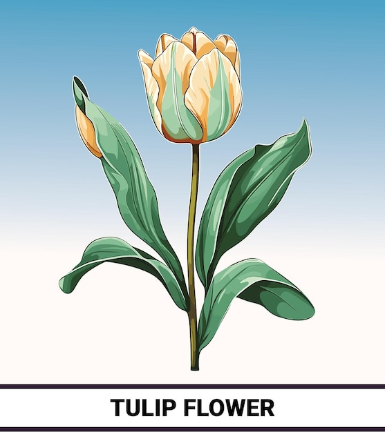 Diseño de flor de tulipán individual con hojas