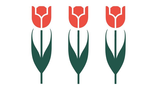 Diseño floral minimalista de la flor de tulipán y arte botánico