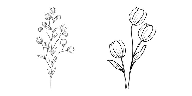 Diseño de flores dibujado a mano por vector o line art