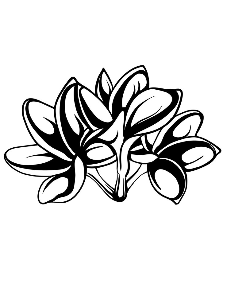 Vector diseño de flores y ramitas vectoriales