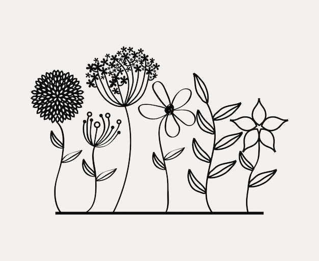 Diseño de flores sobre fondo blanco ilustración vectorial