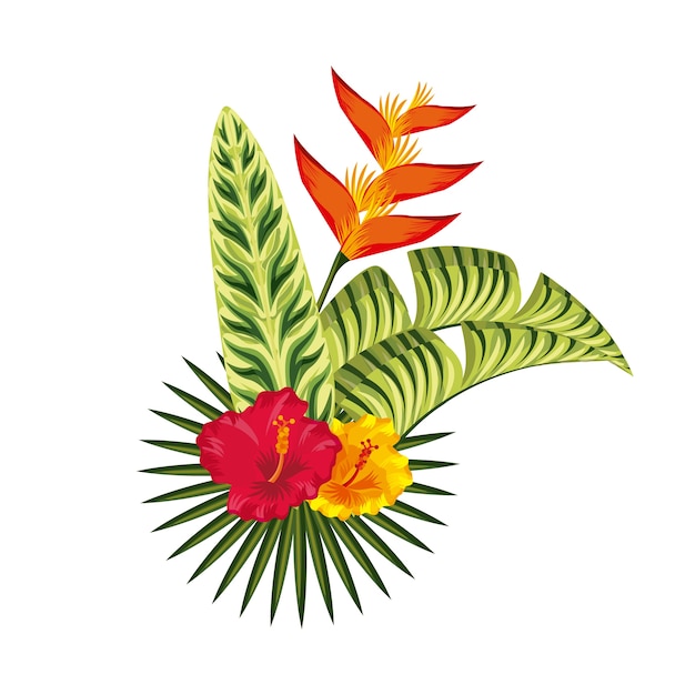 diseño de flores tropicales