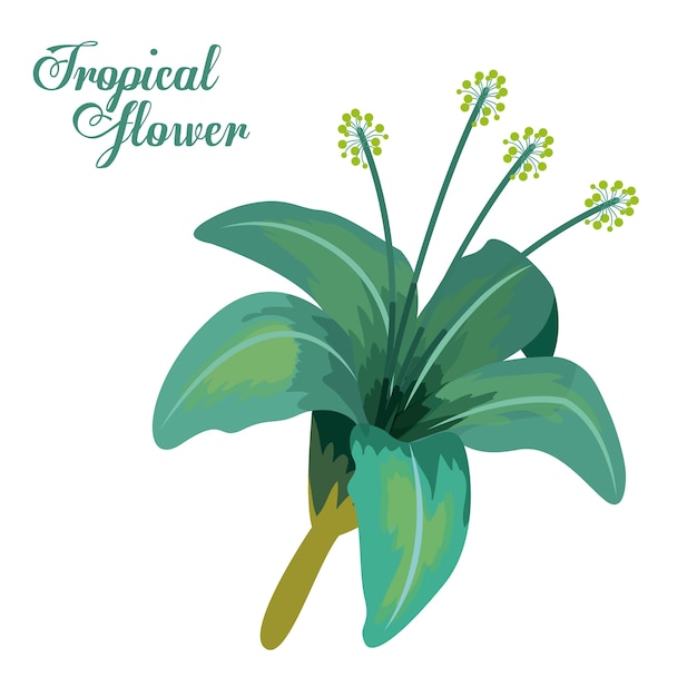 Diseño de flores tropicales