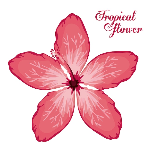 Vector diseño de flores tropicales