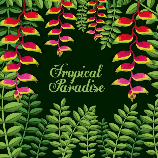 Vector diseño de flores tropicales