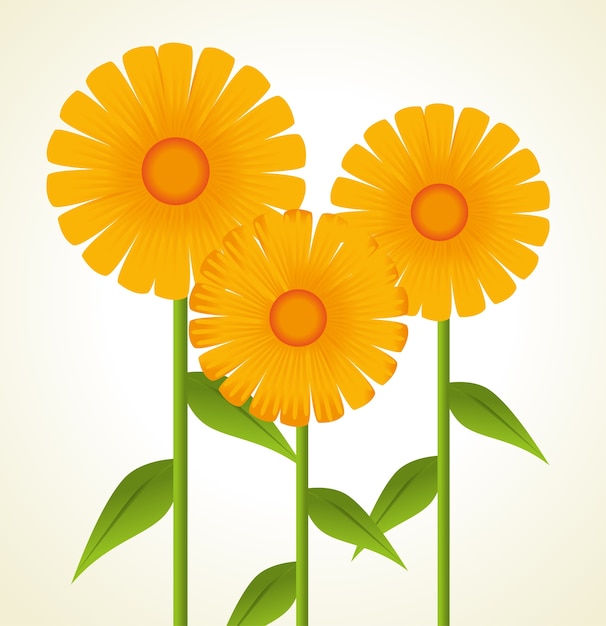 diseño de flores