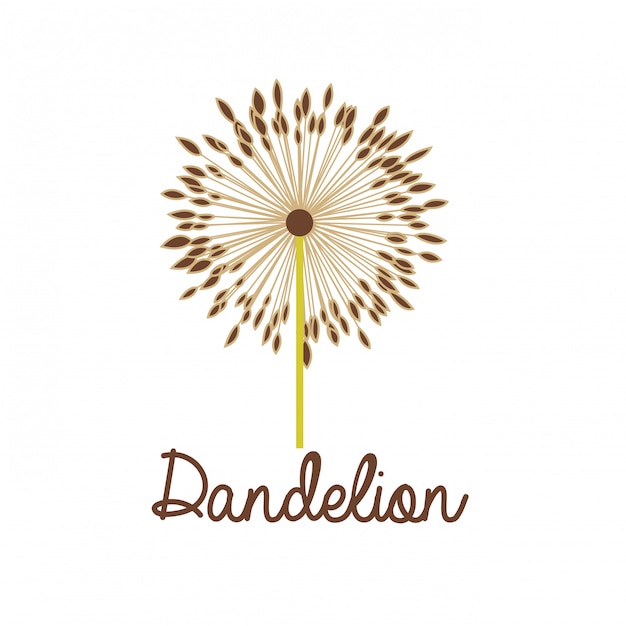 diseño de flores