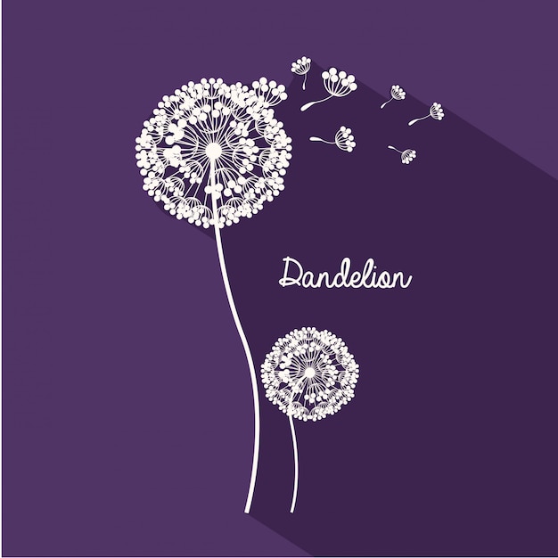 diseño de flores
