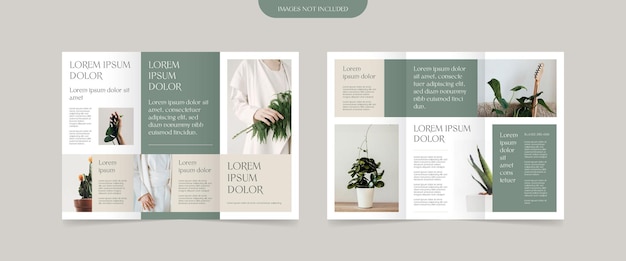 diseño de folleto tríptico de estilo minimalista