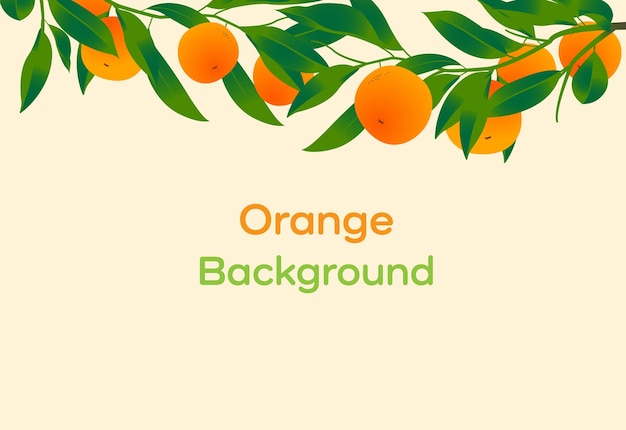 Vector diseño de fondo de fruta naranja