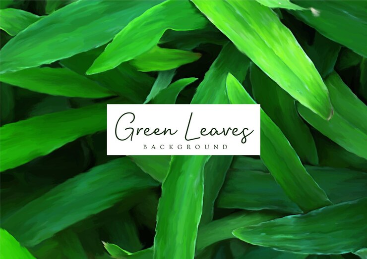 Diseño de fondo de naturaleza de hojas verdes dibujadas a mano
