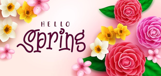 Diseño de fondo de vector de flores de primavera Hola texto de saludo de primavera con narciso de camelia