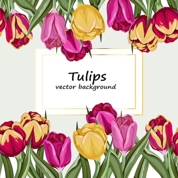 Diseño de fondo vectorial de tulipanes para tarjetas de felicitación e invitaciones de boda