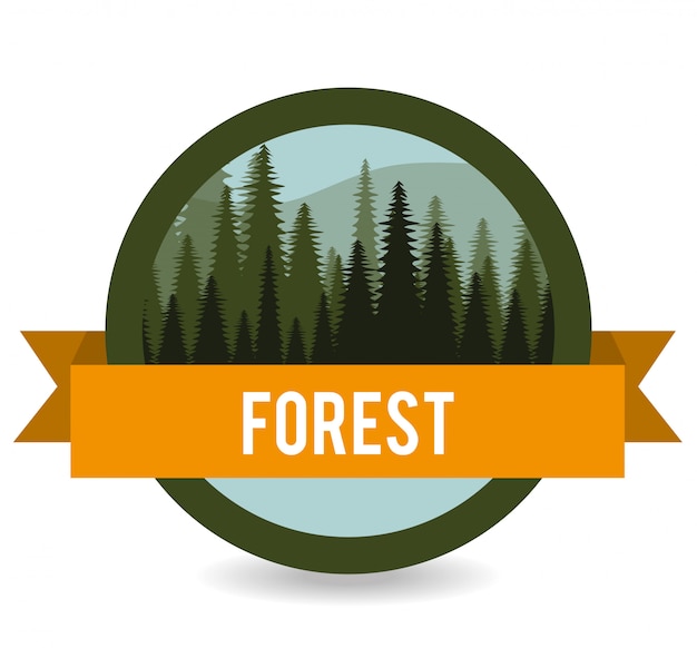 Diseño forestal
