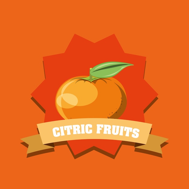 Vector diseño de frutas cítricas con marco decorativo y cinta
