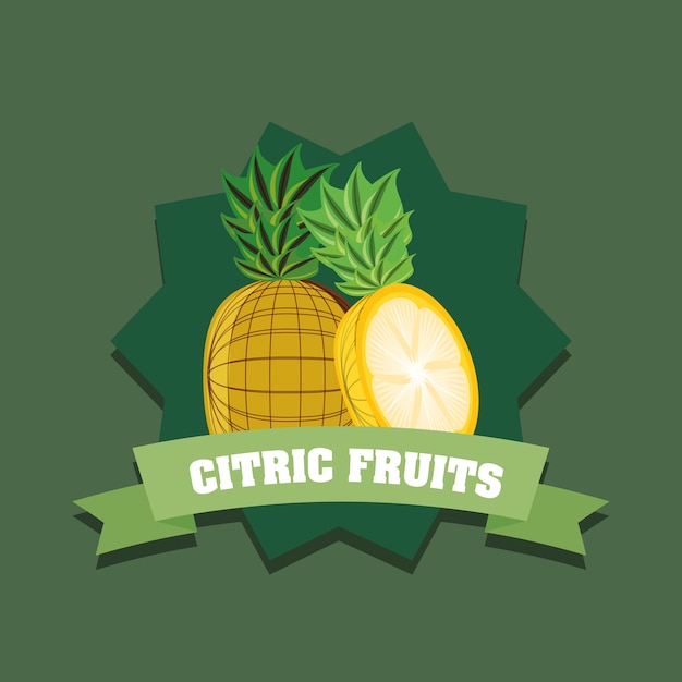 Diseño de frutas cítricas con marco decorativo y cinta