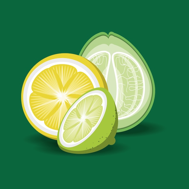 Vector diseño de frutas cítricas con rodajas de limón