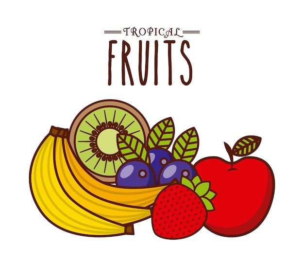 Vector diseño de frutas tropicales