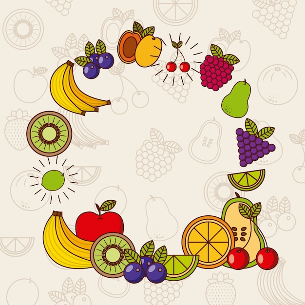 Vector diseño de frutas tropicales