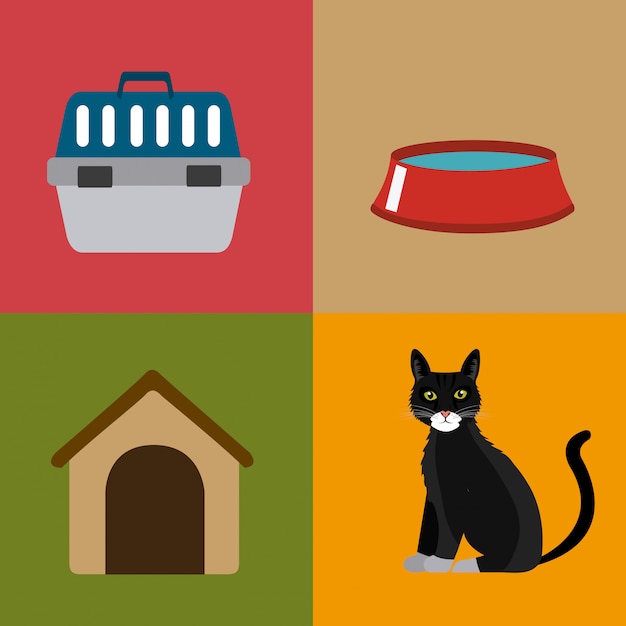 Diseño de gato
