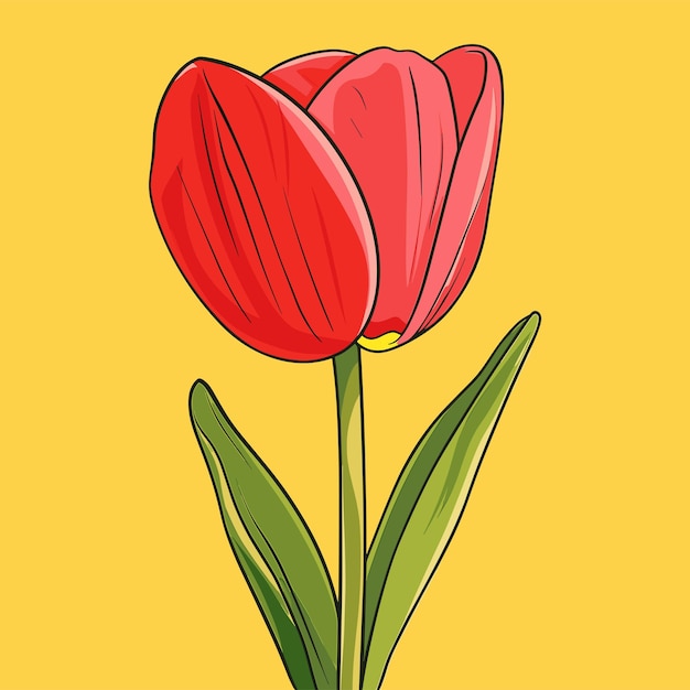 Diseño gráfico de flores de tulipán Ilustración vectorial eps10