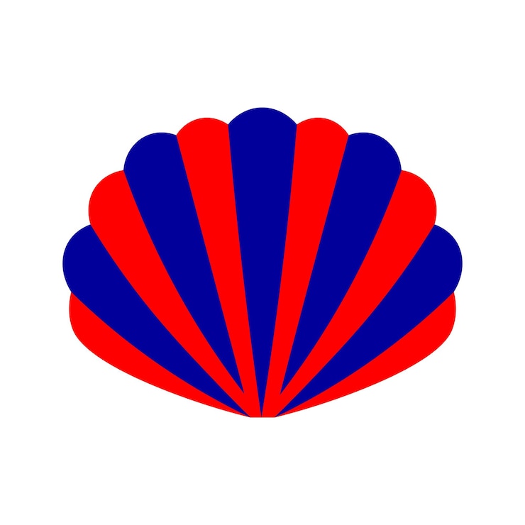 Vector diseño gráfico seashell vectot illstration