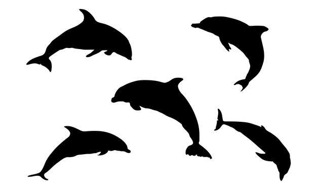 Diseño gráfico vectorial de delfines