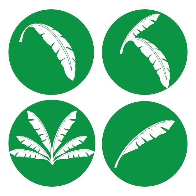 Diseño de hoja de plátano