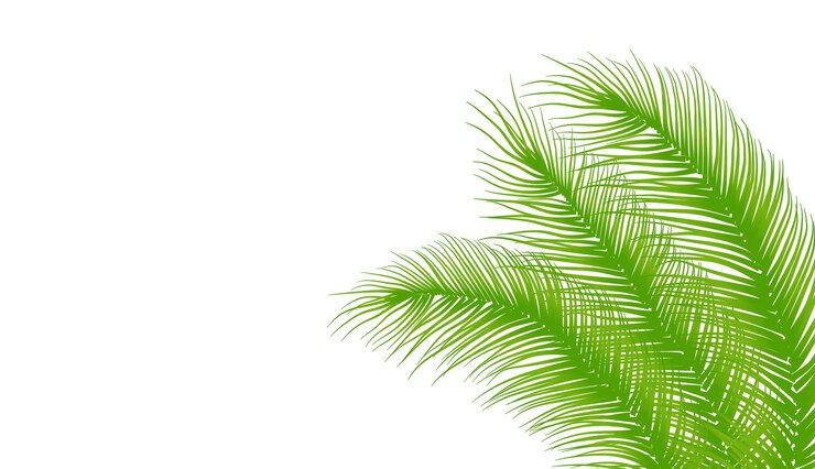 Vector diseño de hoja verde