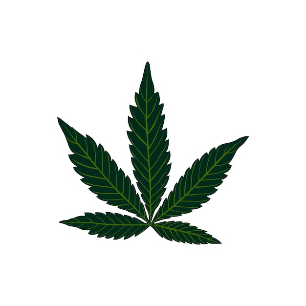 Vector diseño de hojas de cannabis de color verde de estilo plano