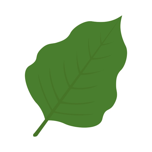 Diseño de hojas de palma botánicas tropicales en blanco