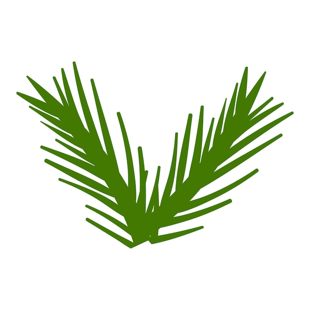 Diseño de hojas de palma botánicas tropicales sobre un fondo blanco