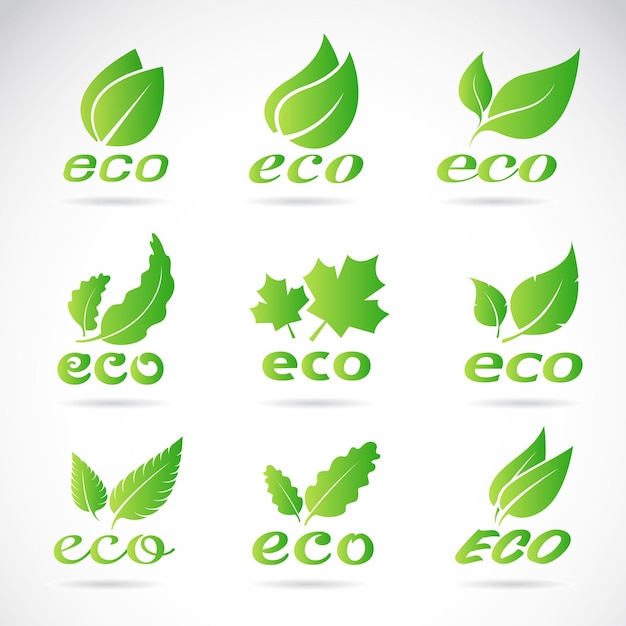 Vector diseño de hojas verdes conjunto de iconos de ecología vector de insignia de iconos ecológicos verdes