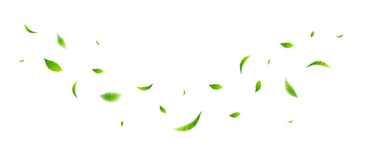 Vector diseño de hojas voladoras adecuado para elementos de diseño