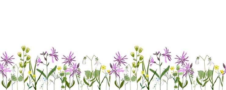 Vector diseño horizontal de flores y hierbas vector sin costuras en un papel de tela de postal de marco blanco