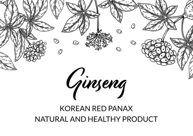 Diseño horizontal de ginseng.