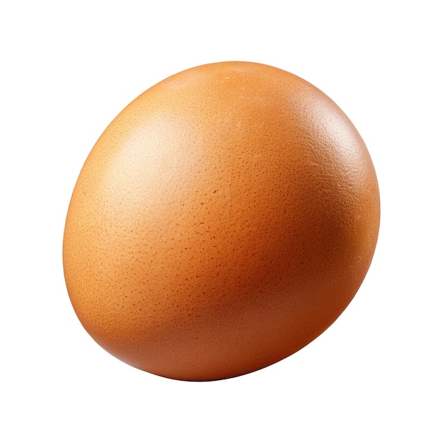diseño de huevo de pollo png