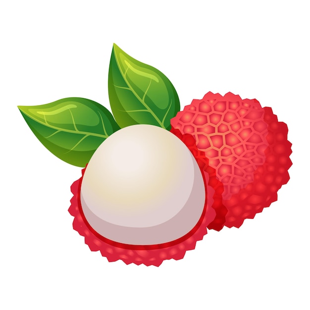 Vector diseño del icono de la fruta de lichi fruta fresca