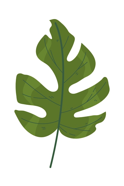 Diseño de icono de hoja tropical de Monstera aislado