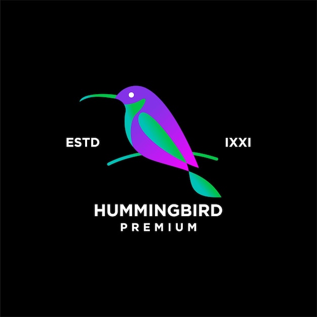 Diseño de icono de logotipo completo de color de colibrí
