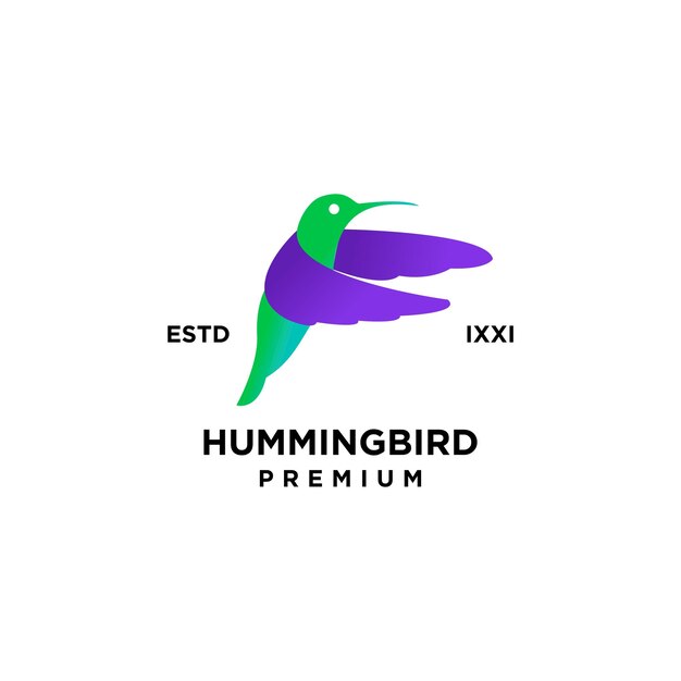 Diseño de icono de logotipo completo de color de colibrí