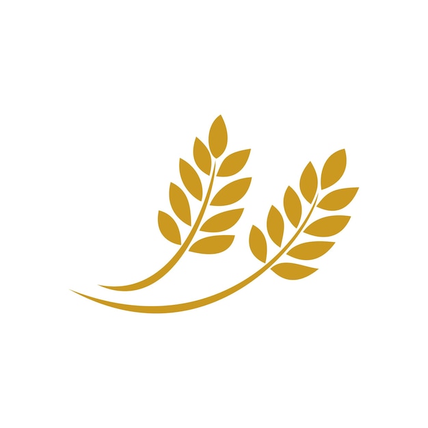 diseño de icono de trigo de granja signo y símbolo de semillas de agricultura