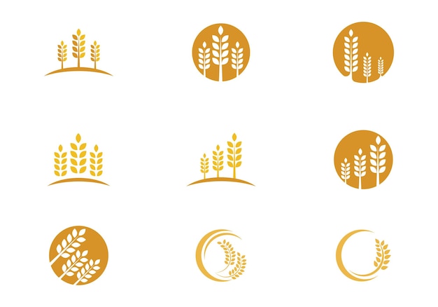 Diseño de icono de vector de plantilla de logotipo de trigo de agricultura