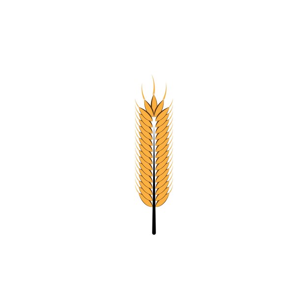 Vector diseño de icono vectorial de plantilla de logotipo de trigo agrícola