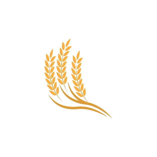 Diseño de icono vectorial de plantilla de logotipo de trigo agrícola
