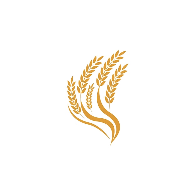 Diseño de icono vectorial de plantilla de logotipo de trigo agrícola