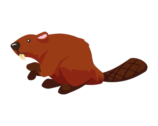 Diseño de ilustración de castor de animales del bosque