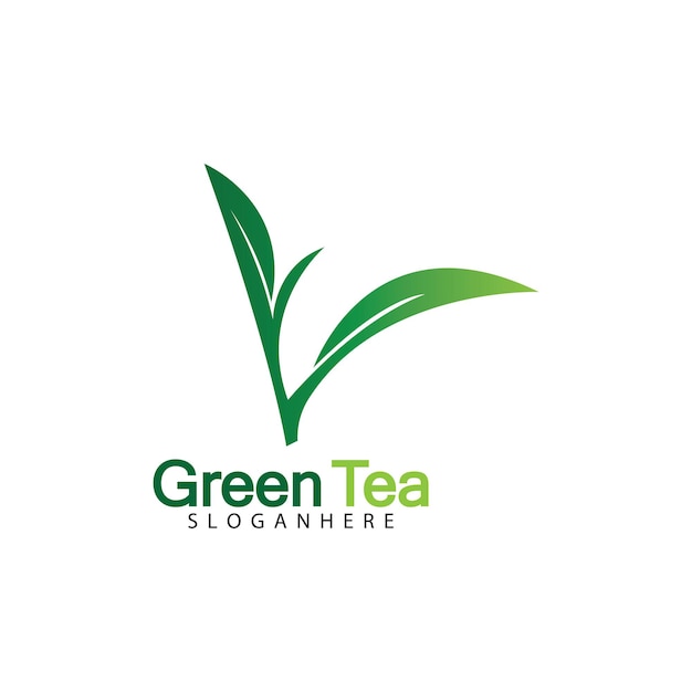 Diseño de ilustración de icono de vector de logotipo de hoja de té verde aislado sobre fondo blanco-imagen vectorial